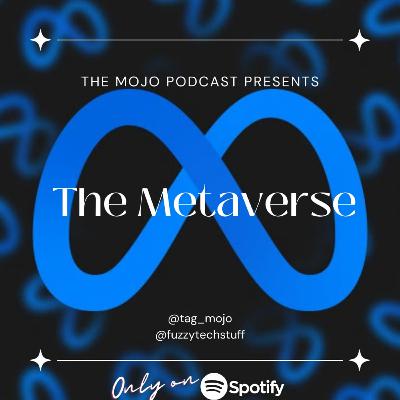 Episode 10 : The Metaverse