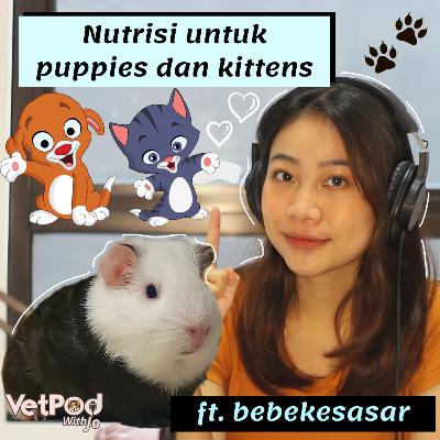 Pet Nutrition x VSA Eps. 06 Nutrisi Untuk Puppies dan Kittens