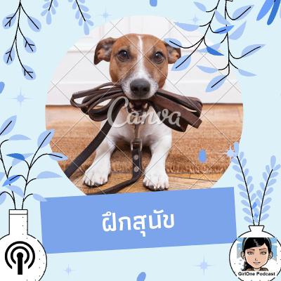 1075 ฝึกสุนัข 1075 ฝึกสุนัข