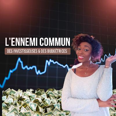 3.95 - L’ennemi commun des investisseuses et des budgétrices