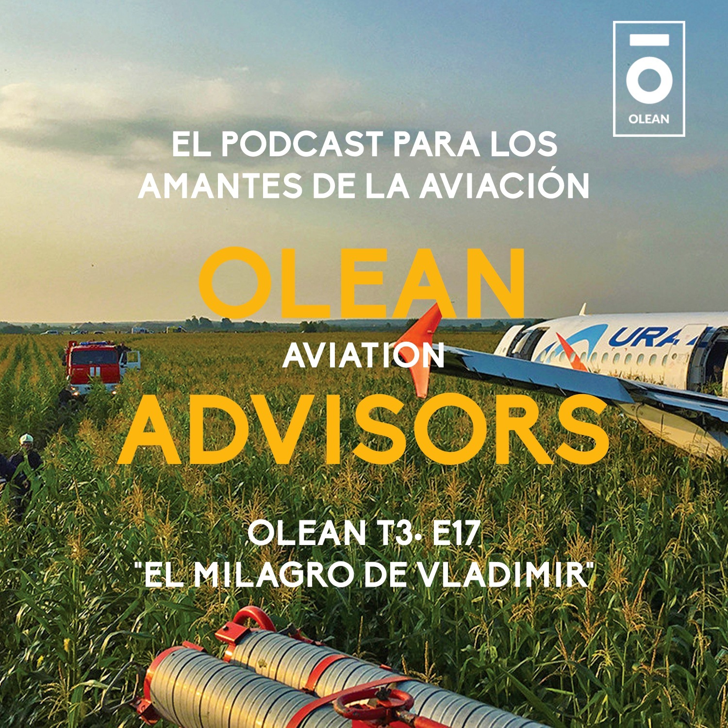 T3 · E17 - El milagro de Vladimir