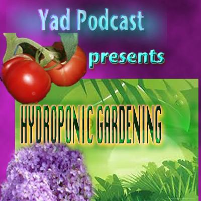 Hydroponic Gardening