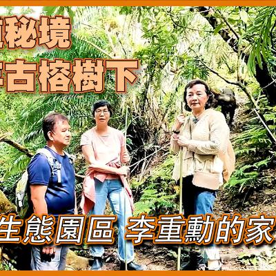 爬上古道秘境醉倒百年古榕樹下#古榕映水生態園區 #李重勳 的家 #大媽老司機 EP112 爬上古道秘境醉倒百年古榕樹下#古榕映水生態園區 #李重勳 的家 #大媽老司機 EP112