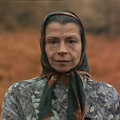 / VR204 / Lola Gaos