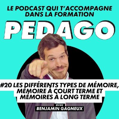 #20 Les différents types de mémoire : mémoire à court terme et mémoires à long terme #20 Les différents types de mémoire : mémoire à court terme et mémoires à long terme