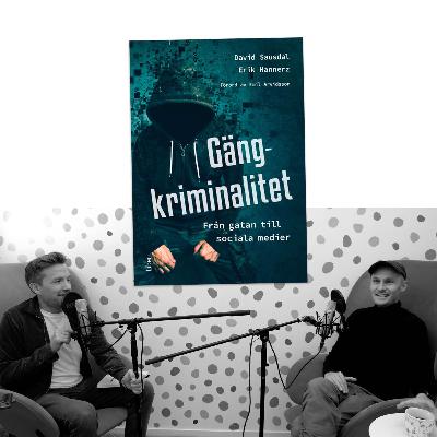 #454 Gängkriminalitet, från gatan till sociala medier, med David Sausdal