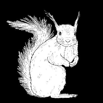 The Red Squirrel The Red Squirrel