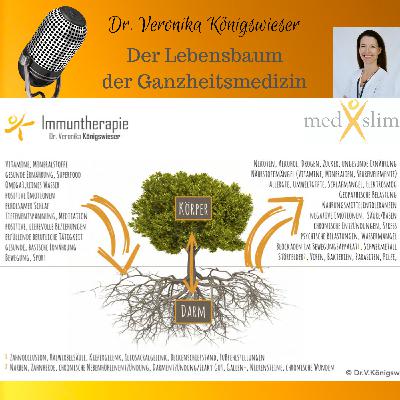 #002 Ganzheitsmedizin - Therapie und Diagnostik, die an die Wurzel geht. Mein Körper - mein Lebensbaum
