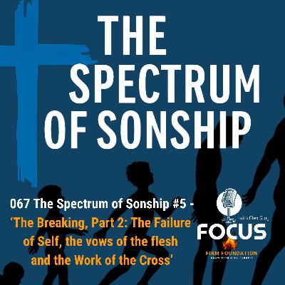 067 The Spectrum of Sonship #5 — ‘The Breaking, Part 2: The Failure of Self, the vows of the flesh and the Work of the Cross’