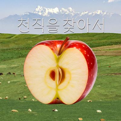 EP.7 직장과 자아를 분리할 수 있다는 환상