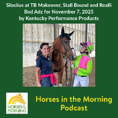 Sibelius at TB Makeover, Stall Bound and Realli Bad Adz for November 7, 2025 by Kentucky Performance Products Sibelius at TB Makeover, Stall Bound and Realli Bad Adz for November 7, 2025 by Kentucky Performance Products