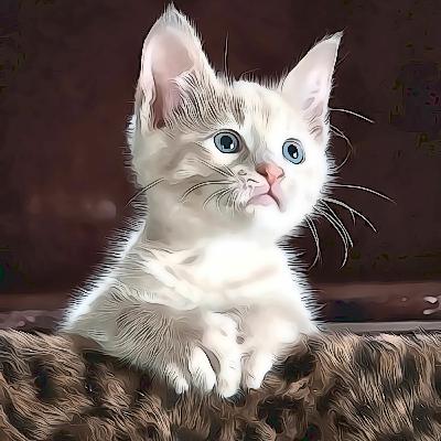 SHOW 155 - EXTORTIONATE BILLS SHOW 155 - EXTORTIONATE BILLS