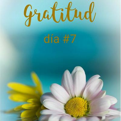 Gratitud día #7 Gratitud por nuestra mente Gratitud día #7 Gratitud por nuestra mente
