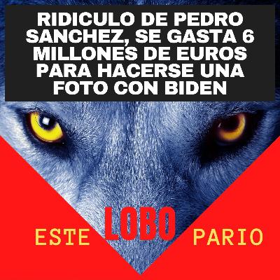 1151-ridiculo de pedro sanchez, se gasta 6 millones de euros para hacerse una foto con biden-🐺 Estelobopario -☢-15-06-2021