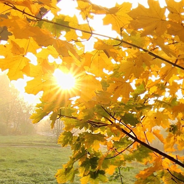 ЧУВСТВОВАТЬ СЛОВАМИ