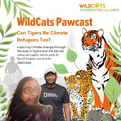 Can Tigers Be Climate Refugees Too? Can Tigers Be Climate Refugees Too?