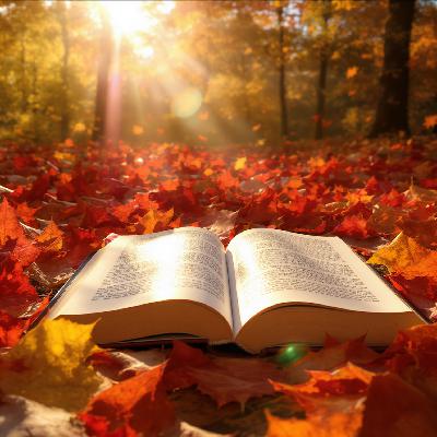 🍁 к Дню знаний - Про ОБРАЗОВАНИЕ 🍁 к Дню знаний - Про ОБРАЗОВАНИЕ