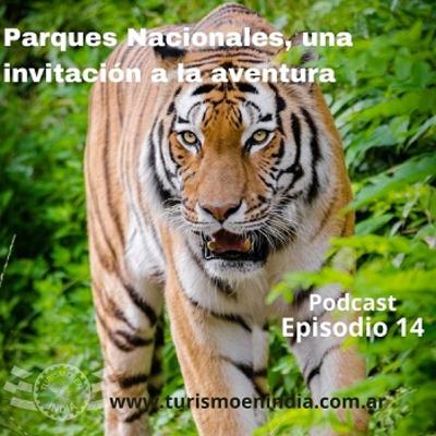 Parques Nacionales, una invitación a la aventura
