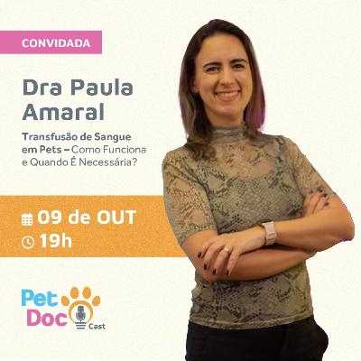 Transfusão de sangue em Pets – Como funciona e quando é necessária?