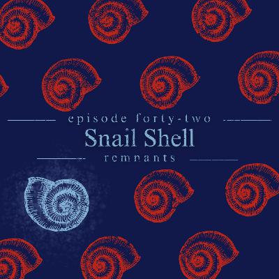 42: Snail Shell
