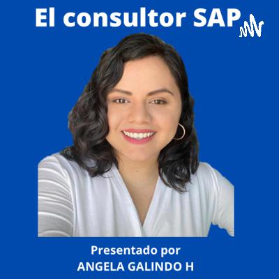 10.- De Consultor SAP a CEO ¿Cómo lograrlo?