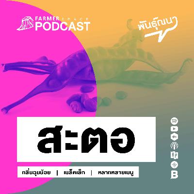 สะตอ 【พันธุ์ณนา】 สะตอ 【พันธุ์ณนา】