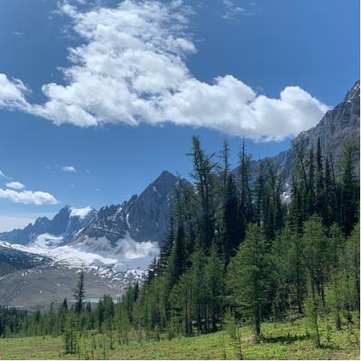 68. 記録的な暑さの予報