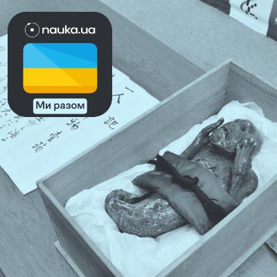 [Ми разом] Мумія «русалки» виявилася трупом мавпи з риб'ячим хвостом