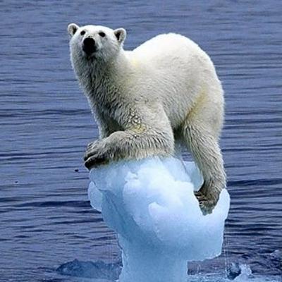 El planeta tierra se esta quemando poco a poco, calentamiento en el Ártico