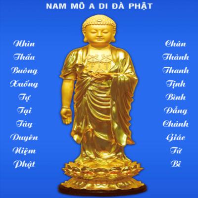 TỊNH ĐỘ ĐẠI KINH KHOA CHÚ 2014 - Tập 244 TỊNH ĐỘ ĐẠI KINH KHOA CHÚ 2014 - Tập 244