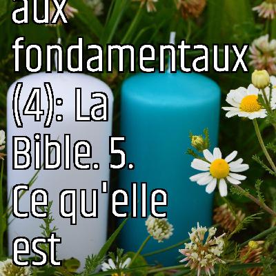 Revenons aux fondamentaux (4): La Bible. 5. Ce qu'elle est