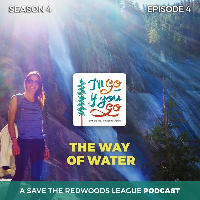 The Way of Water