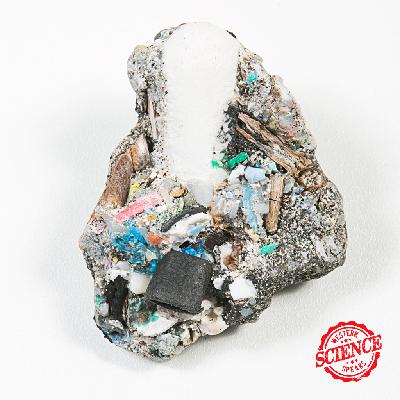 WSS S5E4: Microplastics Are Everywhere (Including Your Food!)