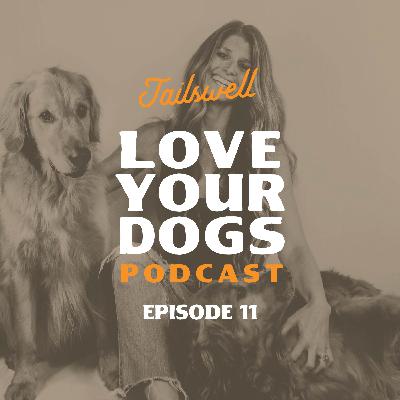 My Dog Lived to 15 on Kibble… So What’s the Problem?