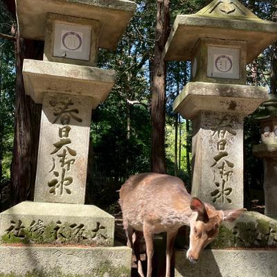 第27集 日本關西來啦~京都奈良大進擊!!!