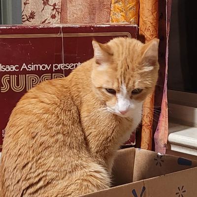 SuperQuiz -- Part 2 SuperQuiz -- Part 2