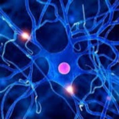 La célula y su ciencia
