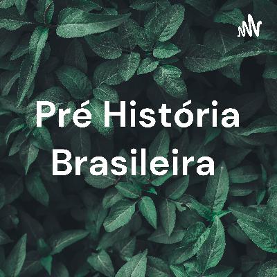 Pré - história brasileira