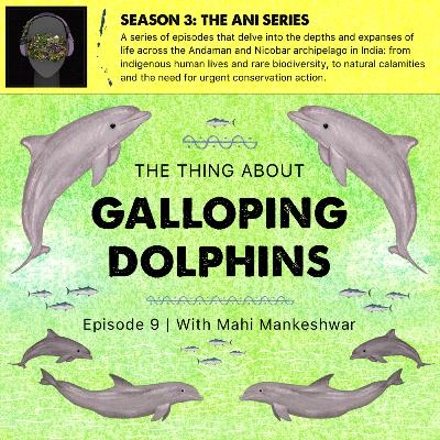 #39 The Thing About Galloping Dolphins