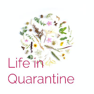 Life in Quarantine  (Trailer)