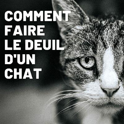 Le deuil de votre chat 😢 Que faire quand votre chat est mort ?