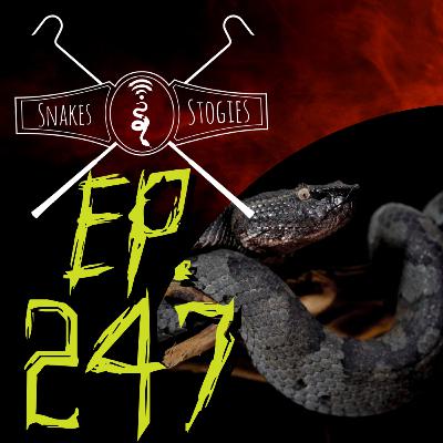Jeremy Hicks of Nomad Herpetoculture | Snakes & Stogies Ep. 247 Jeremy Hicks of Nomad Herpetoculture | Snakes & Stogies Ep. 247