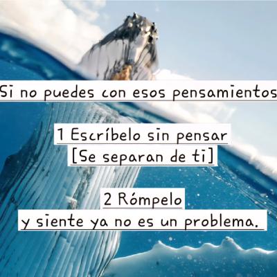 Susurrando al dolor cuando rechazaron al pequeño Feel