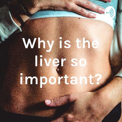 Why is the liver so important? Why is the liver so important?
