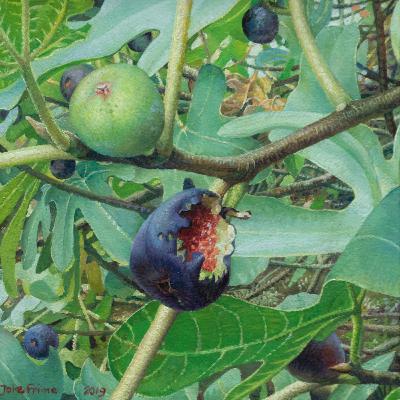 Joke Frima - Hyper Réalisme