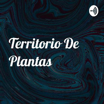 Acuario: territorio de plantas