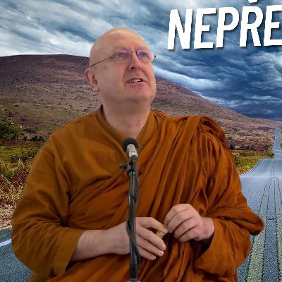 Nepředvídatelnost života - jak si poradit | Ajahn Brahm | 15.7.2011