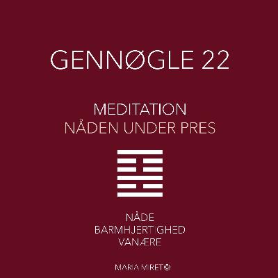 Gennøgle 22 Gennøgle 22