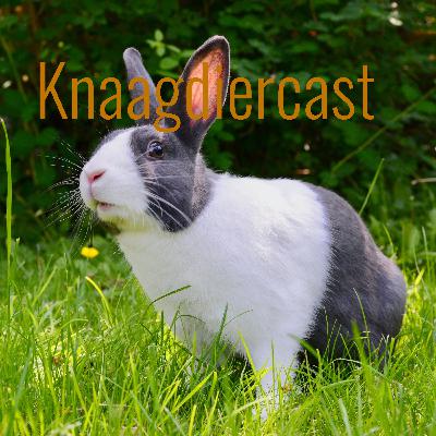 Knaagdiercast 3