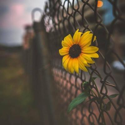 Love yourself Love yourself